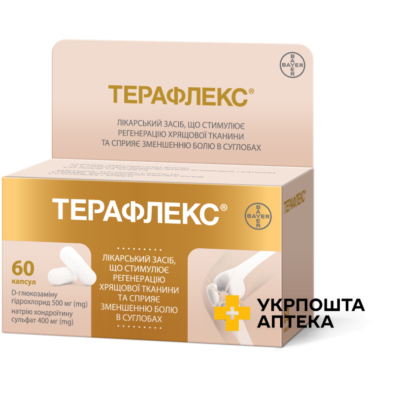 Терафлекс капс. №60 Контракт Фармакал Корпорейшн (США)