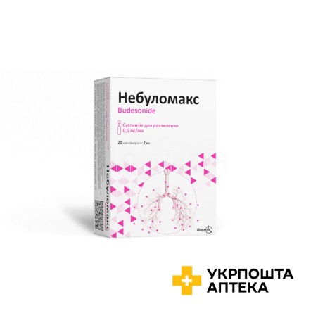 Небуломакс сусп. д/інг. 0,5 мг/мл 2.мл №20 Фармак (Україна)