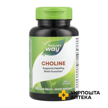 Nature's Way Холін 500 мг табл. №100 Nature's Way Products (США)