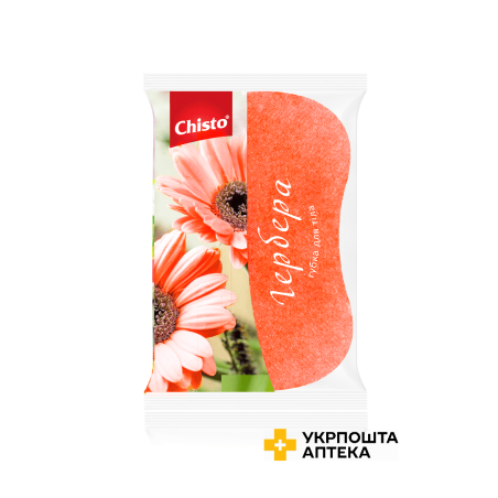 Chisto Губка банна поролонова 