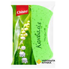 Chisto Губка банна поролонова 