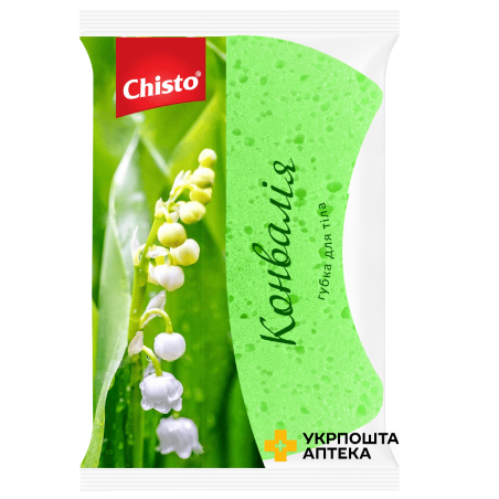 Chisto Губка банна поролонова 
