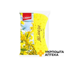 Chisto Губка банна поролонова 