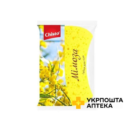 Chisto Губка банна поролонова 